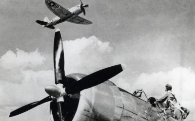 P-47D Update from Aircorps Aviation